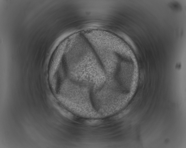 X0000092291435200710121425