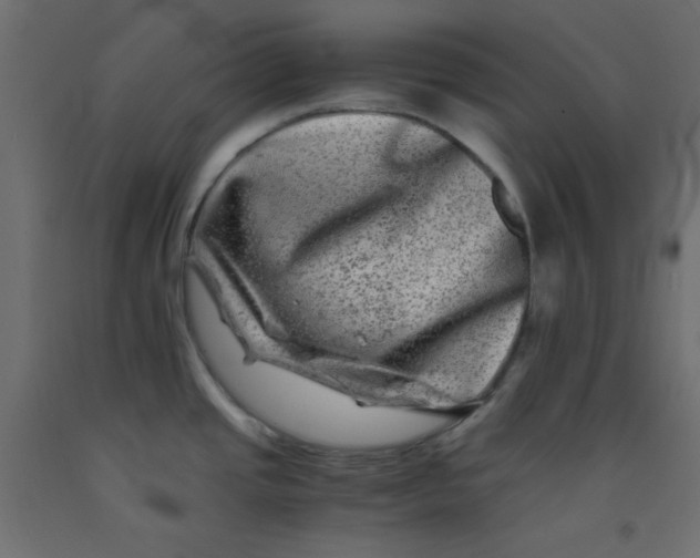 X0000092291437200710121425