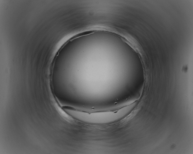 X0000092291438200710121425