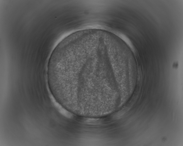 X0000092291439200710121425