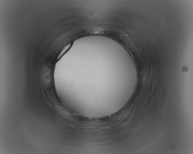 X0000092291442200710121424