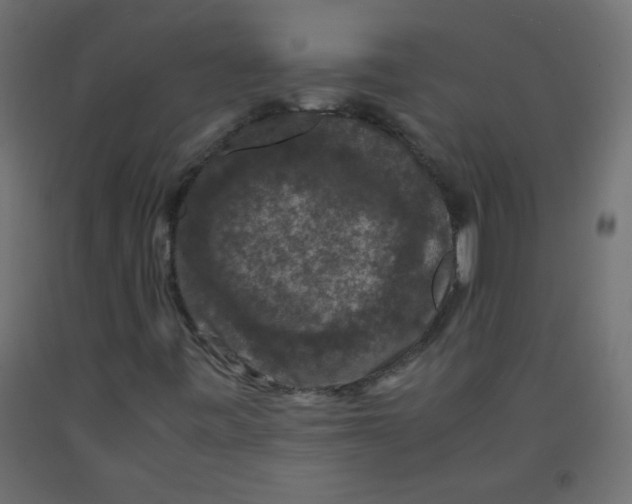 X0000092291443200710121424