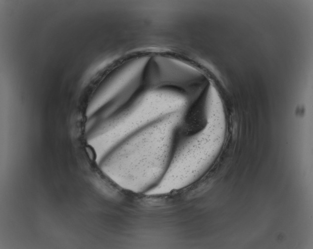 X0000092291448200710121424