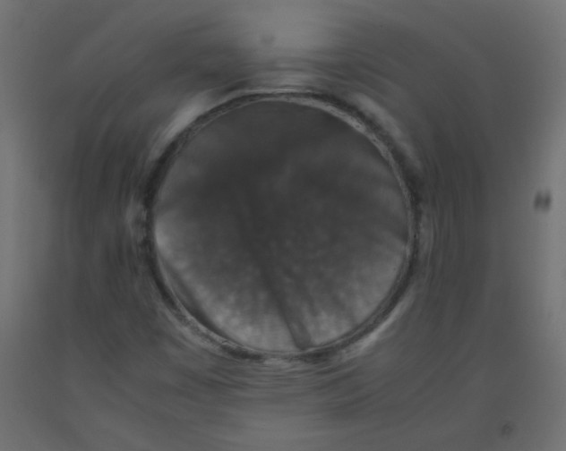 X0000092291449200710121424