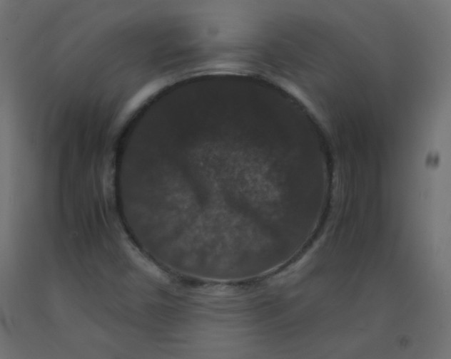 X0000092291450200710121424