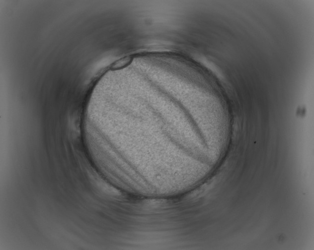 X0000092291451200710121424