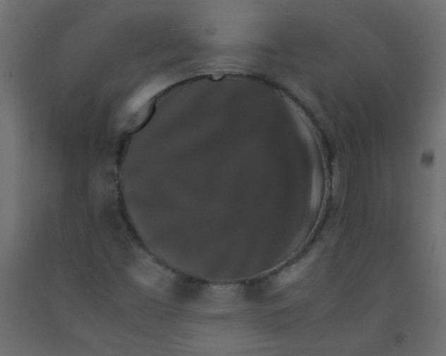 X0000092291453200710121424