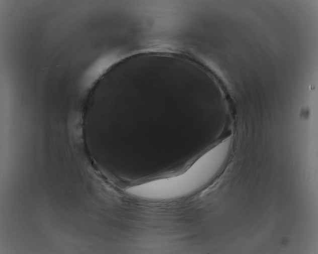 X0000092291455200710121424