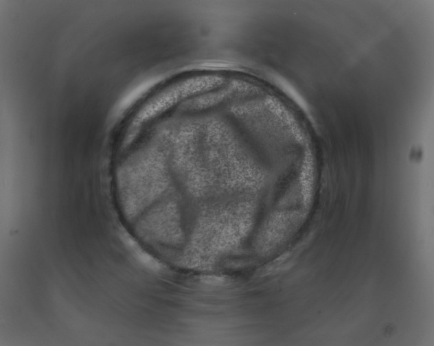 X0000092291456200710121424