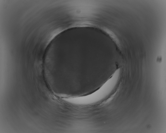 X0000092291457200710121424