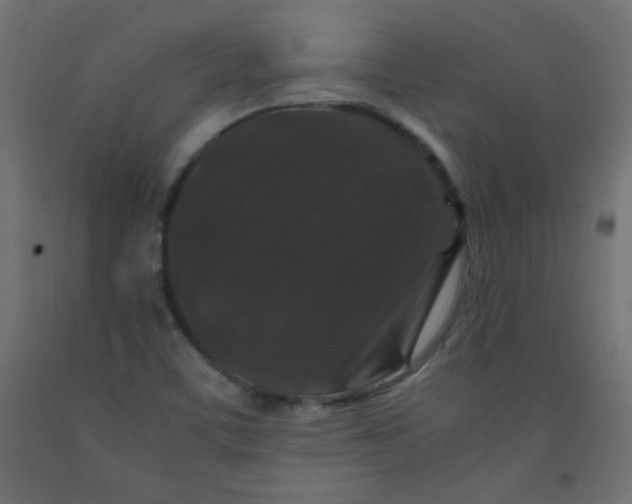 X0000092291459200710121424