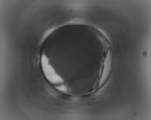 X0000092291461200710121424