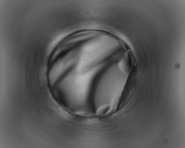 X0000092291464200710121424