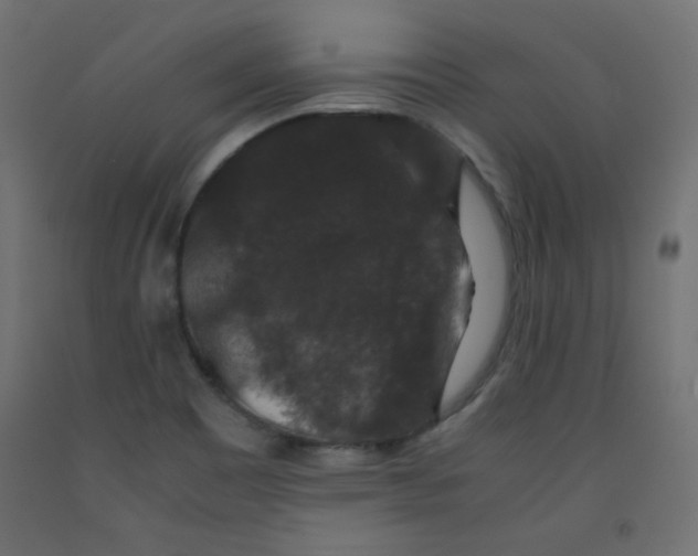 X0000092291465200710121424