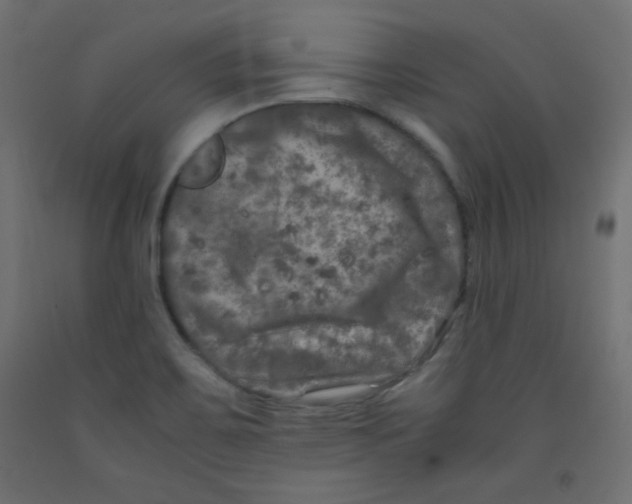 X0000092291467200710121424