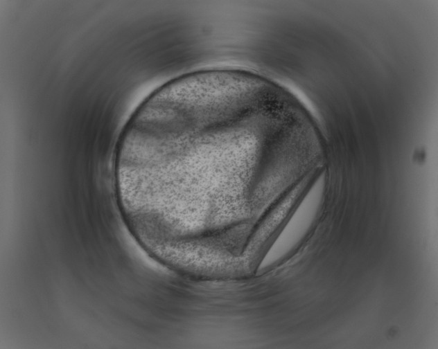 X0000092291468200710121424