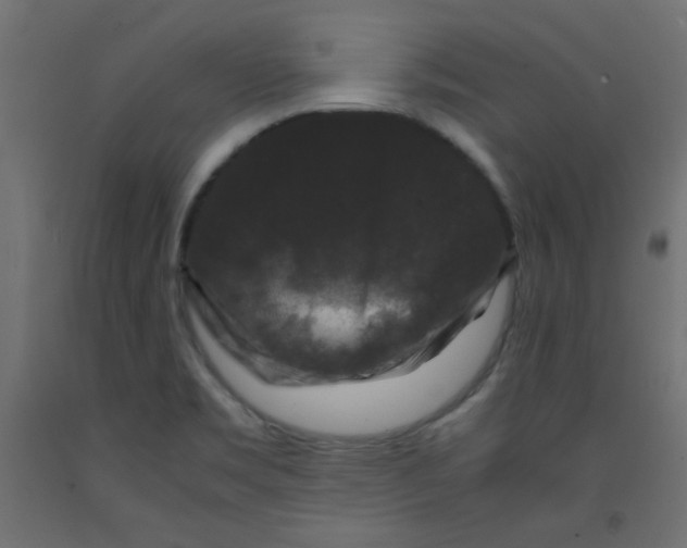 X0000092291469200710121424