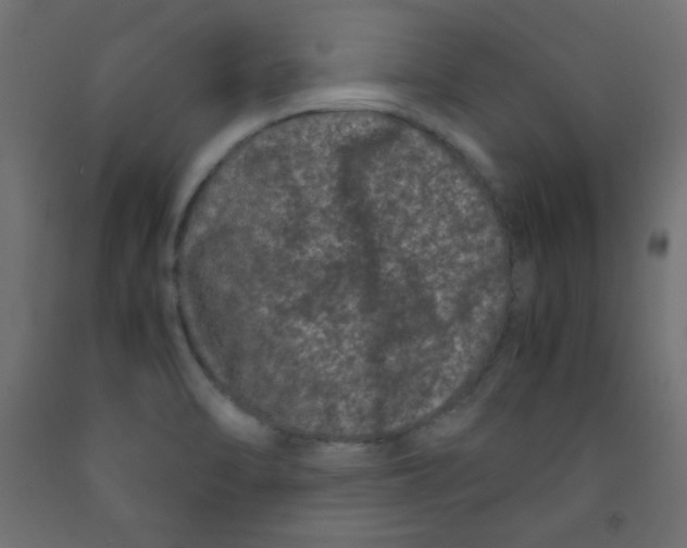 X0000092291470200710121424