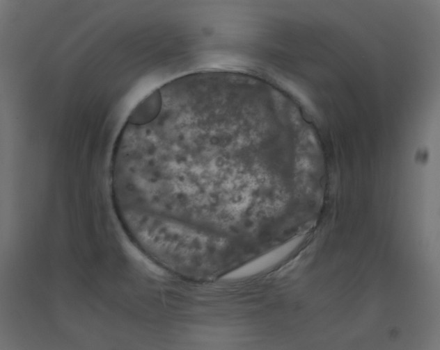 X0000092291471200710121424