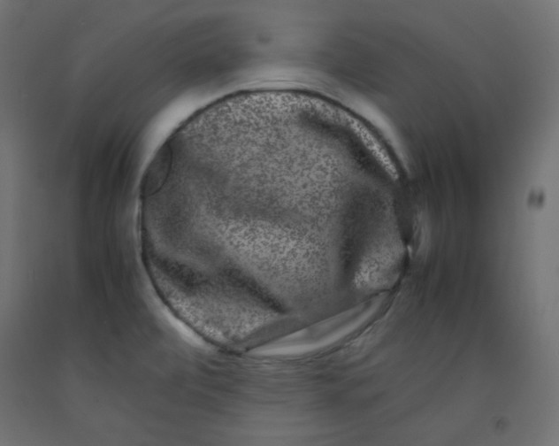 X0000092291472200710121424