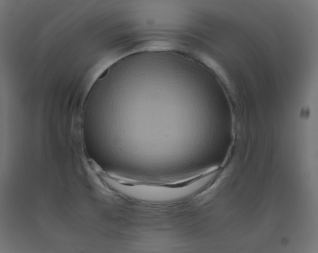 X0000092291473200710121424