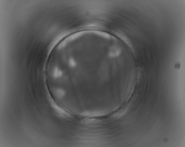 X0000092291474200710121424