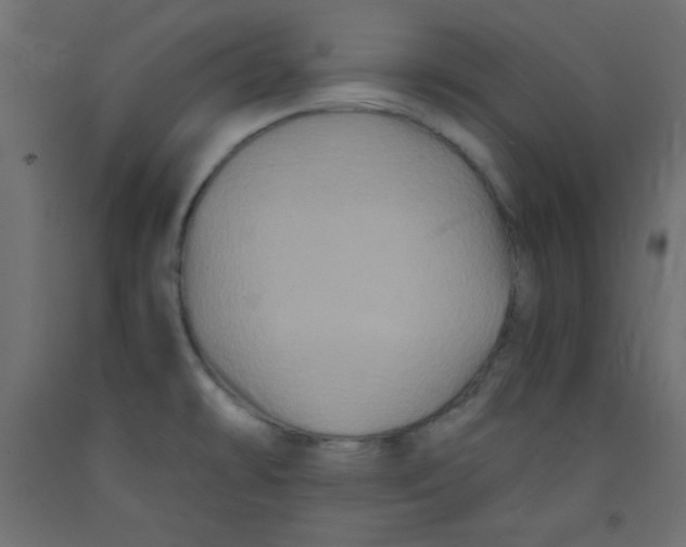 X0000092291478200710121424