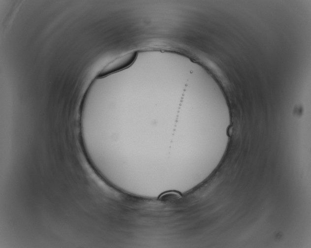 X0000092291479200710121424