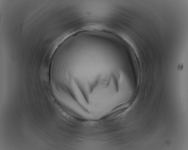 X0000092291481200710121424