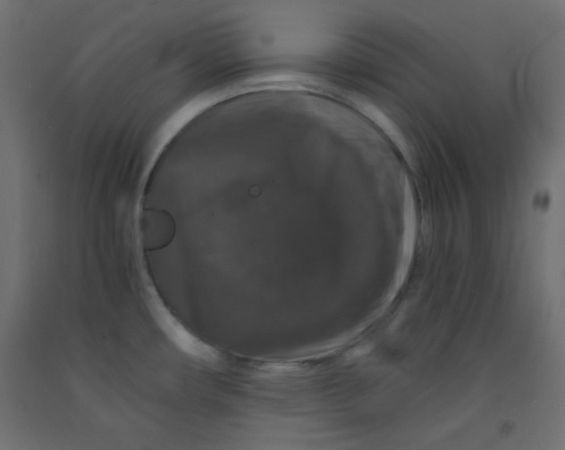 X0000092291482200710121424