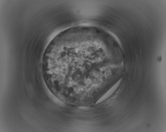 X0000092291483200710121424