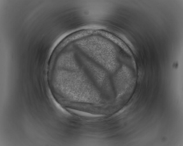 X0000092291484200710121424