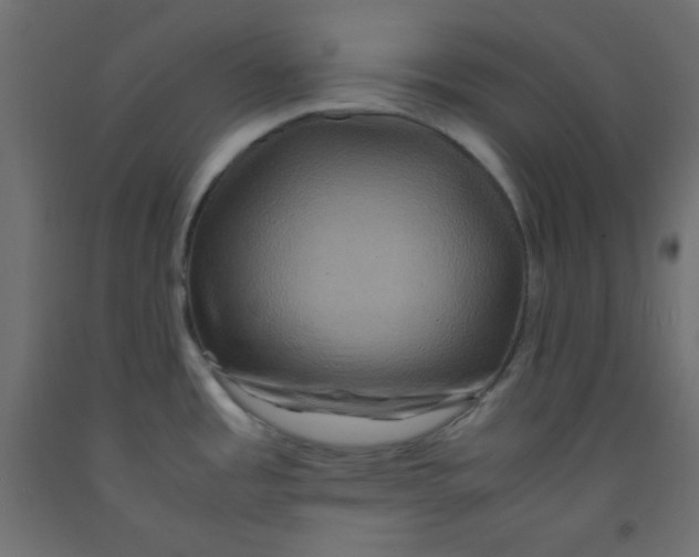 X0000092291485200710121424