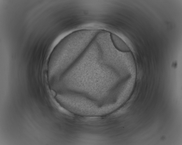 X0000092291486200710121424