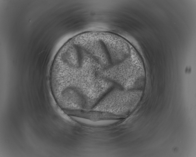 X0000092291488200710121424