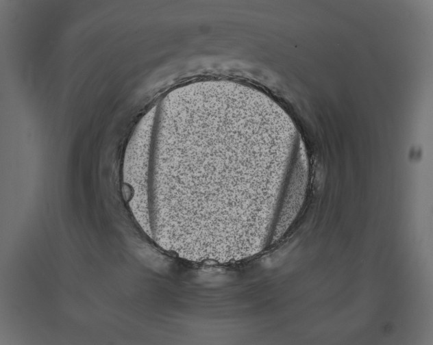 X0000092291489200710121423