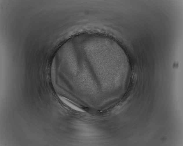 X0000092291490200710121423