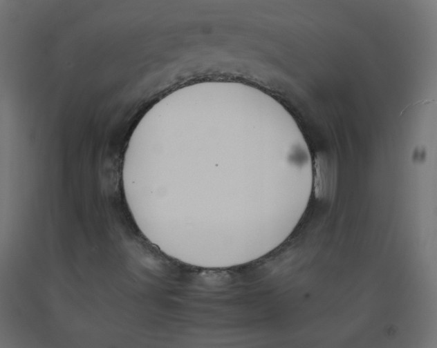 X0000092291491200710121423