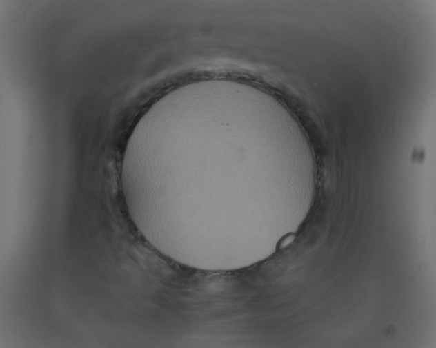 X0000092291493200710121423