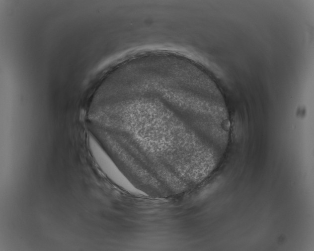 X0000092291494200710121423