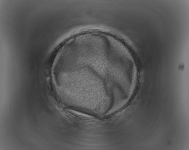 X0000092291496200710121423