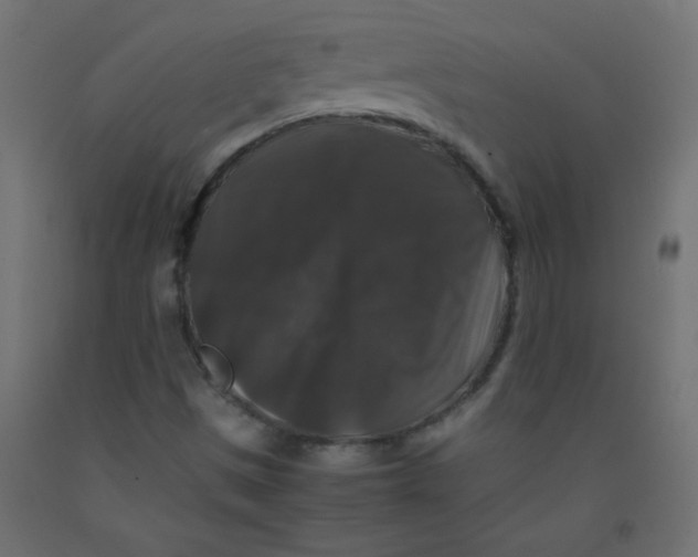 X0000092291497200710121423