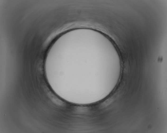 X0000092291499200710121423