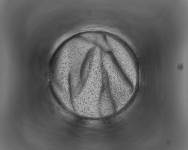 X0000092291501200710121423