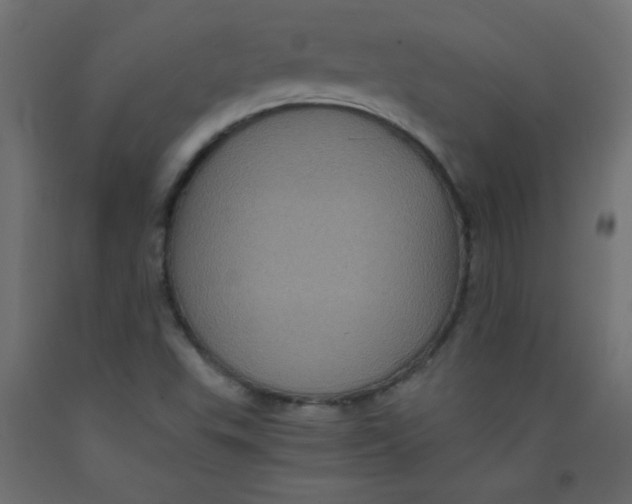 X0000092291503200710121423