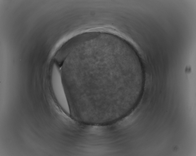 X0000092291506200710121423