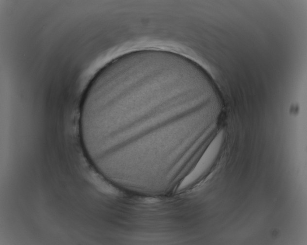 X0000092291507200710121423