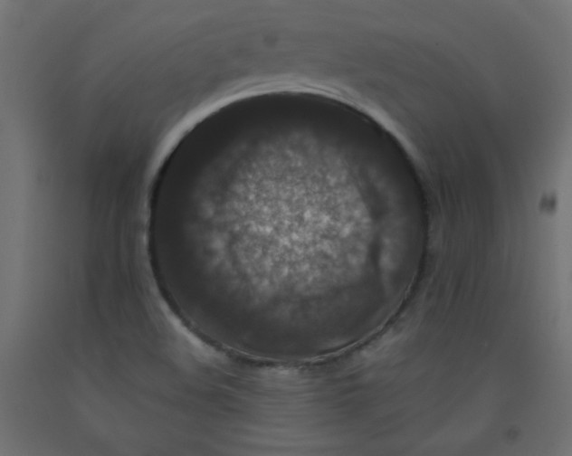 X0000092291508200710121423