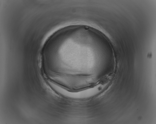 X0000092291510200710121424