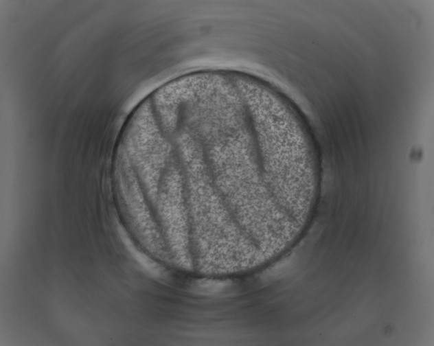 X0000092291513200710121424